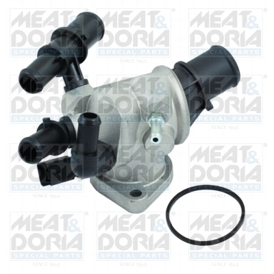 Thermostat, coolant